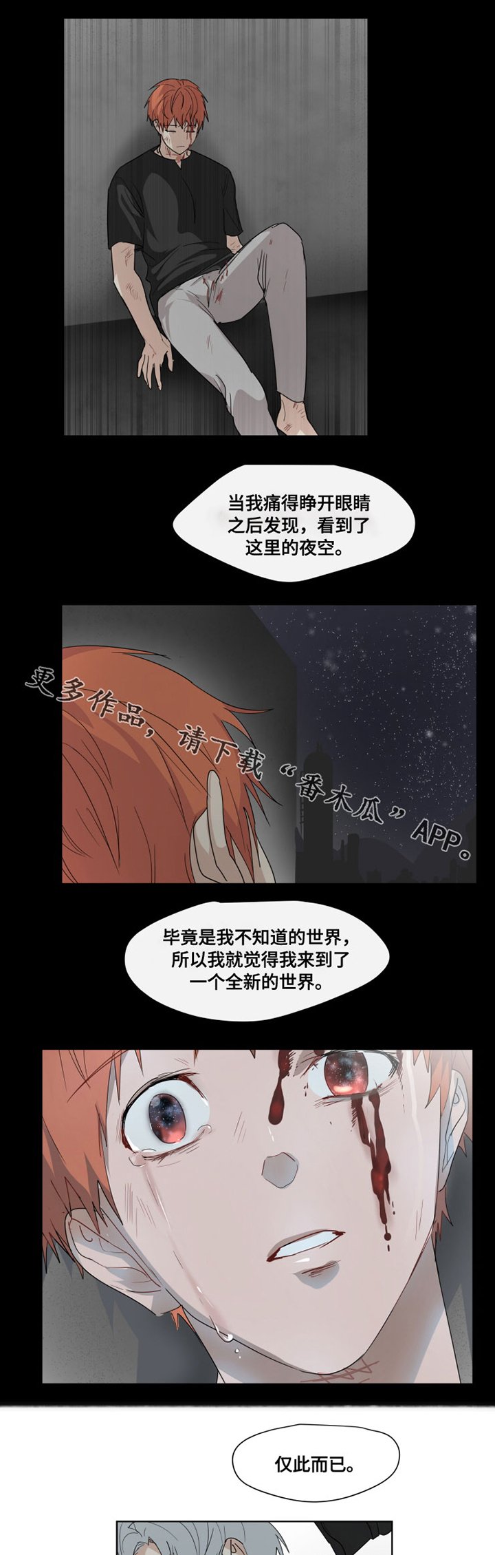 第28章：眼睛