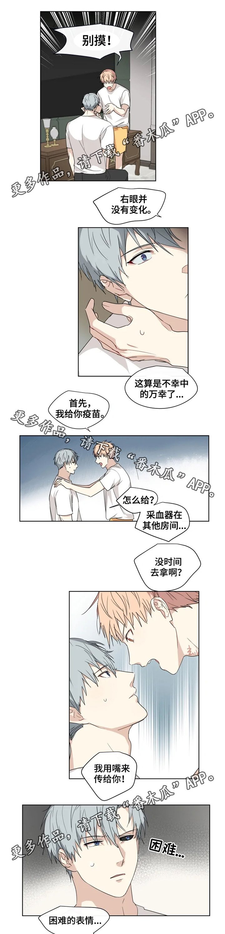 第28章：眼睛