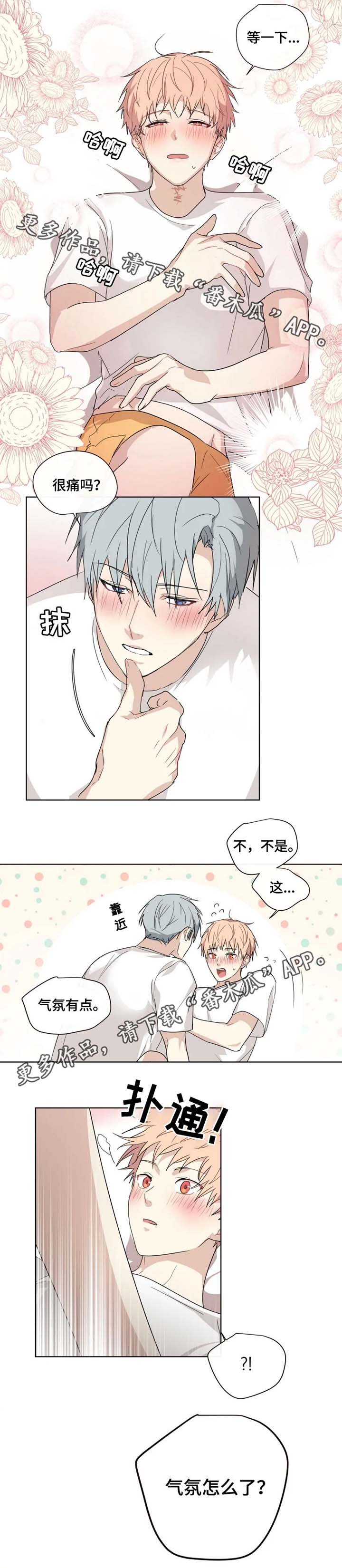 第29章：表白