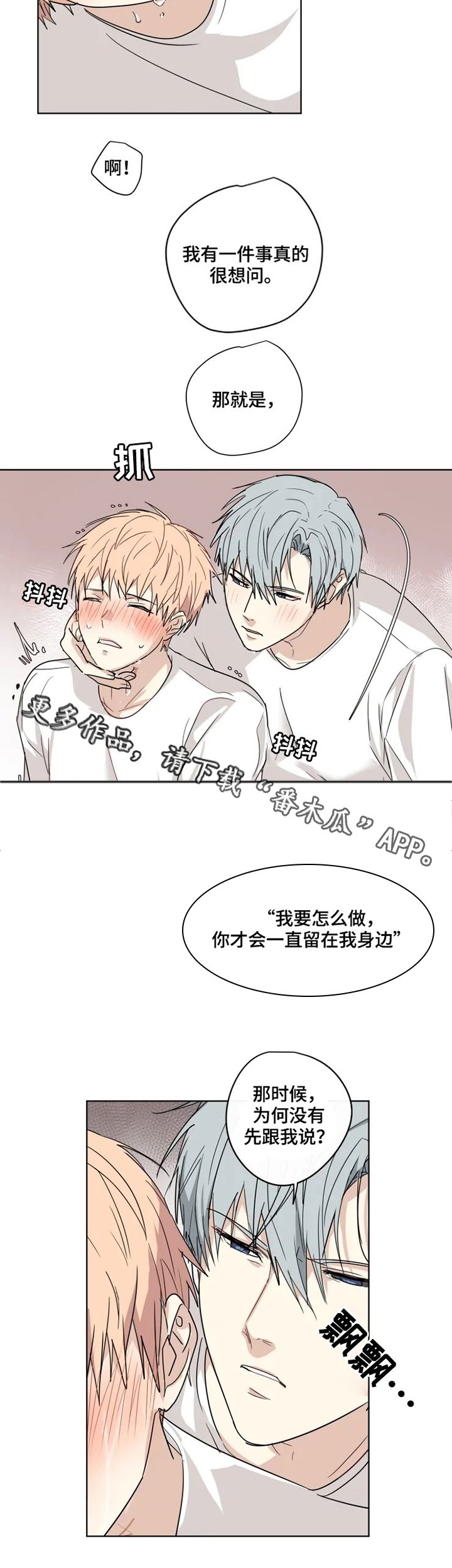 第29章：表白