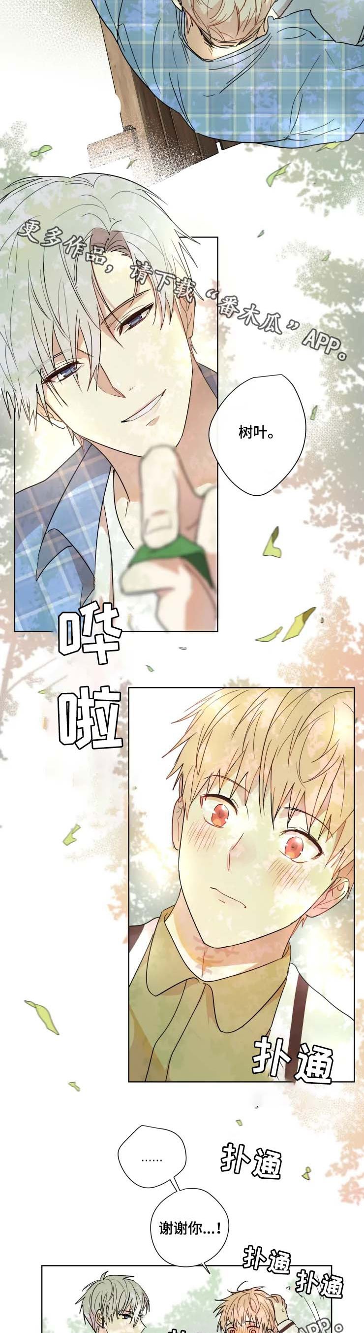 第31章：答案