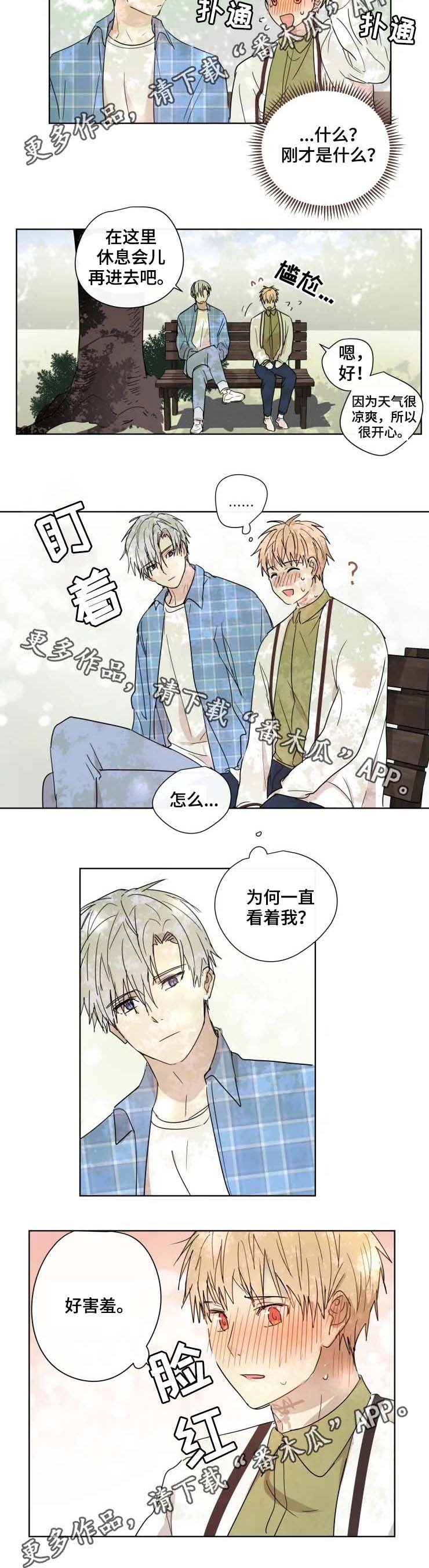 第31章：答案