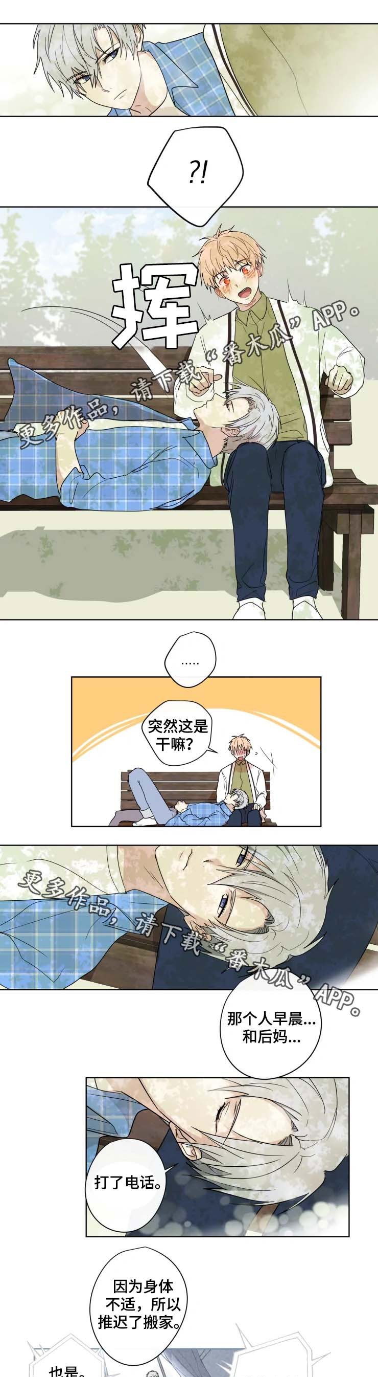 第31章：答案