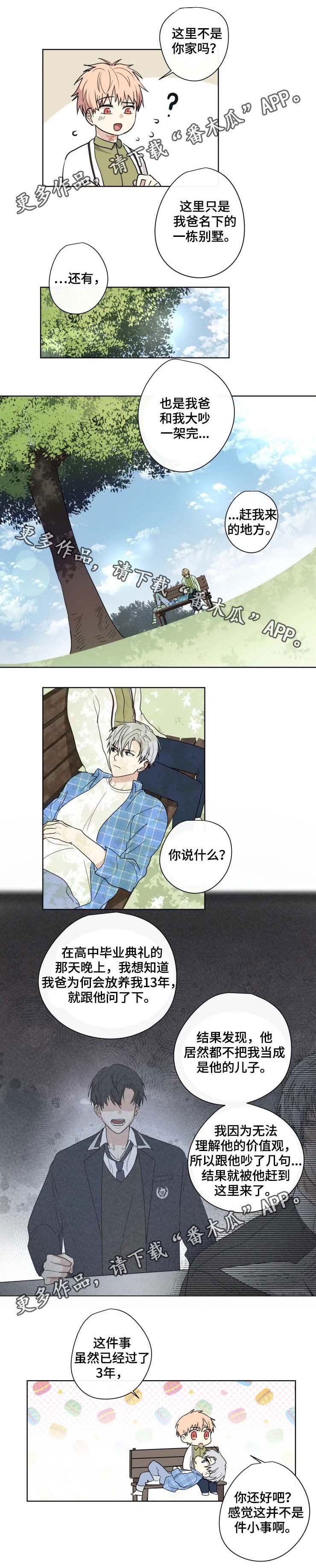 第31章：答案