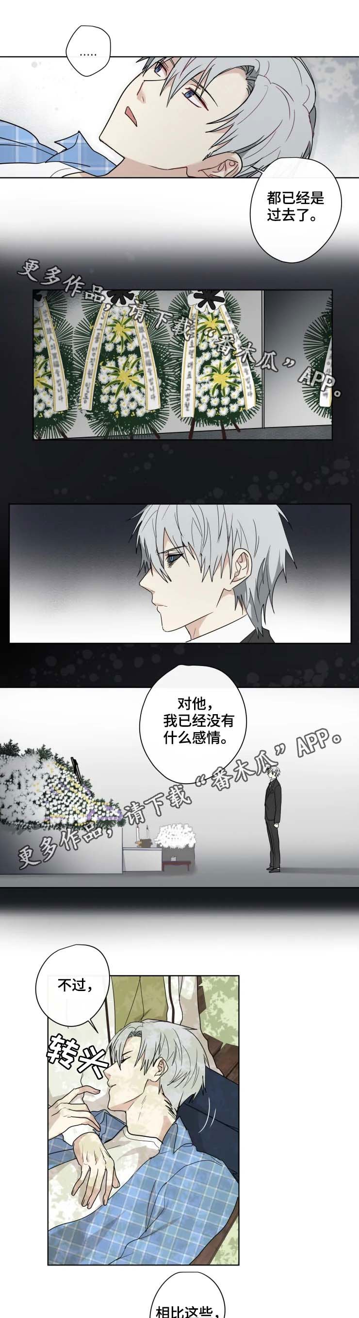 第31章：答案