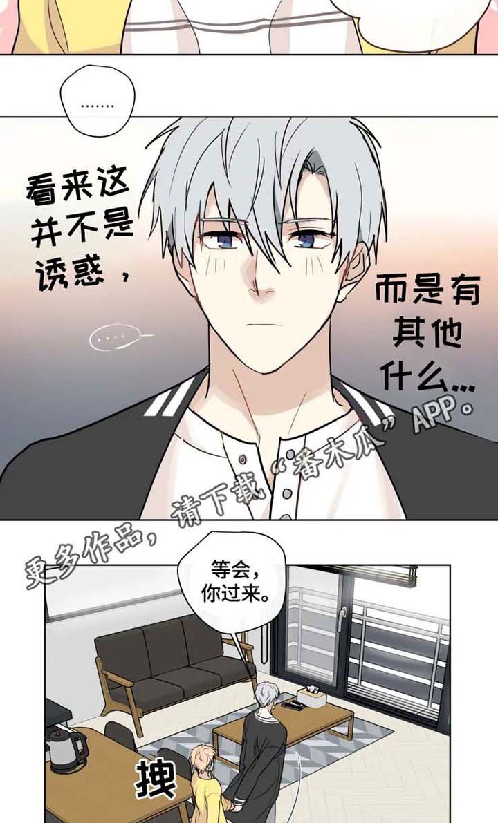 第33章：适应