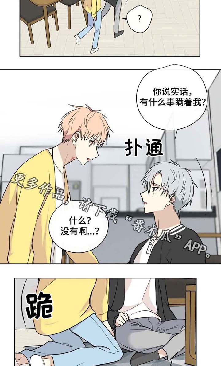 第33章：适应