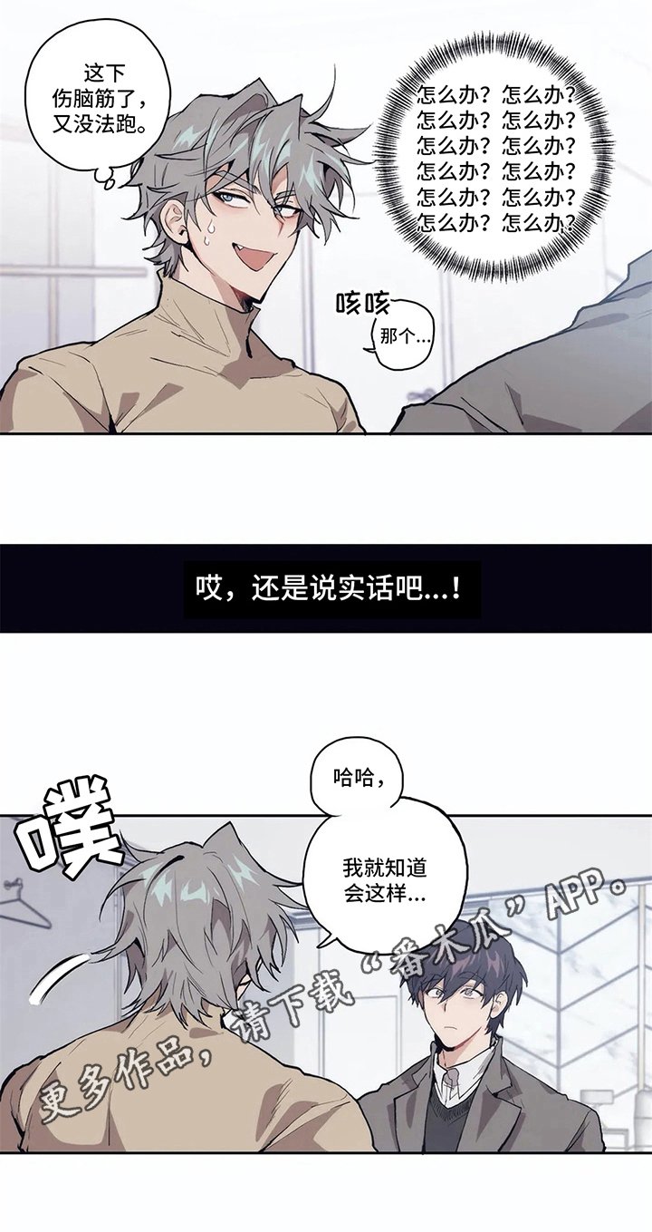 第5章：揭穿
