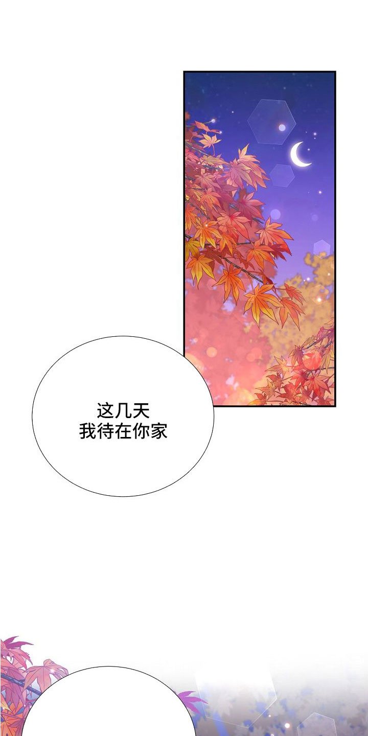 第101章：你疯了吗