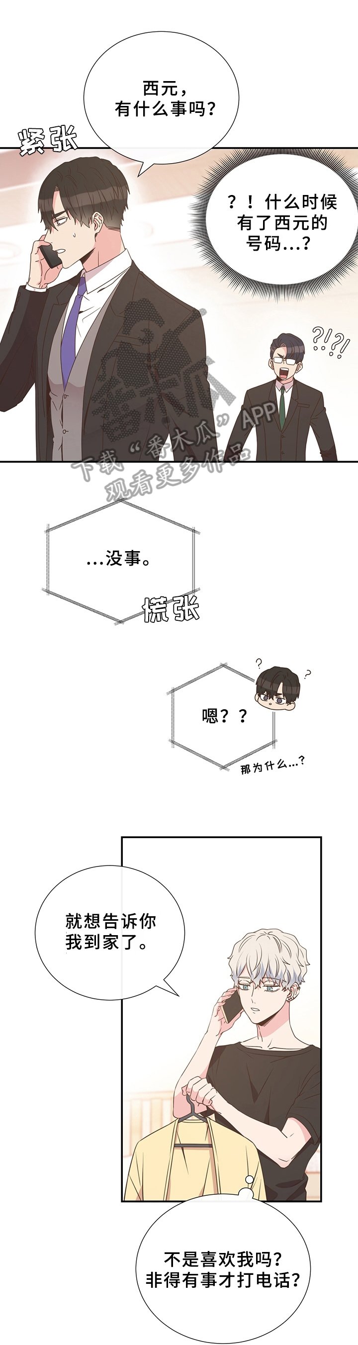 第16章：展示