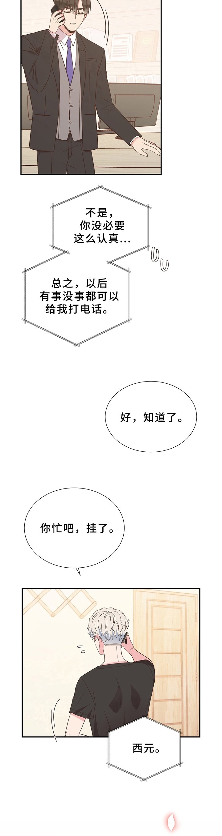 第16章：展示