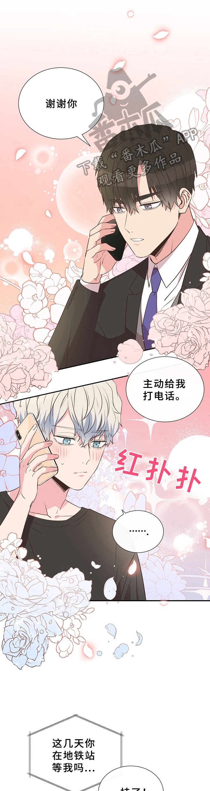 第16章：展示