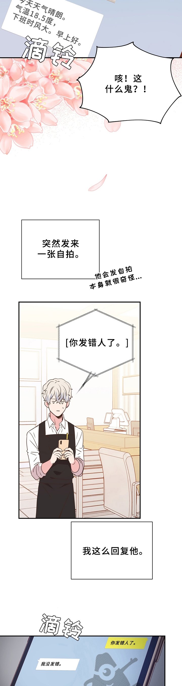 第16章：展示