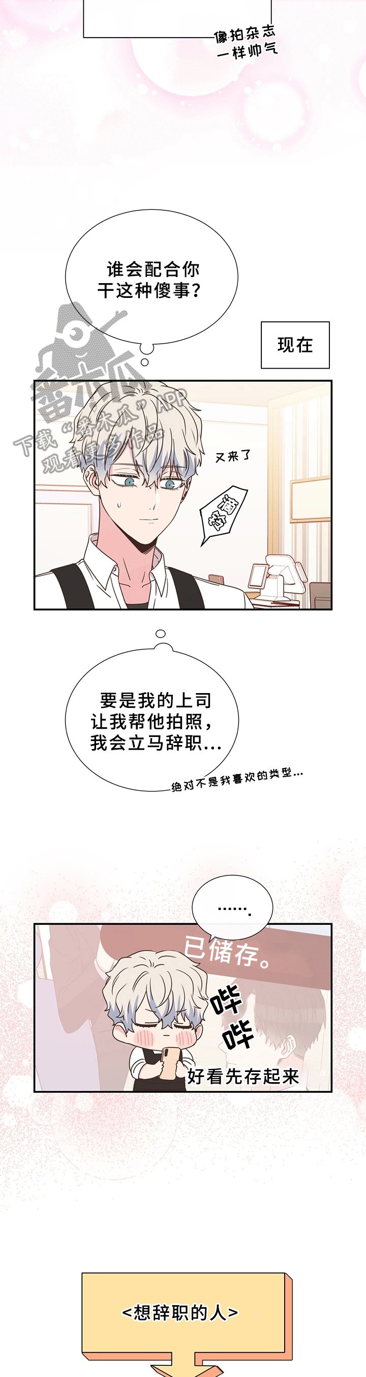 第16章：展示