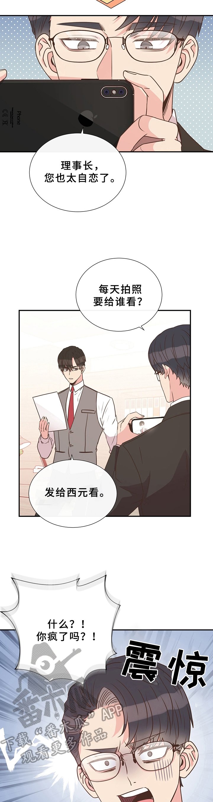 第16章：展示