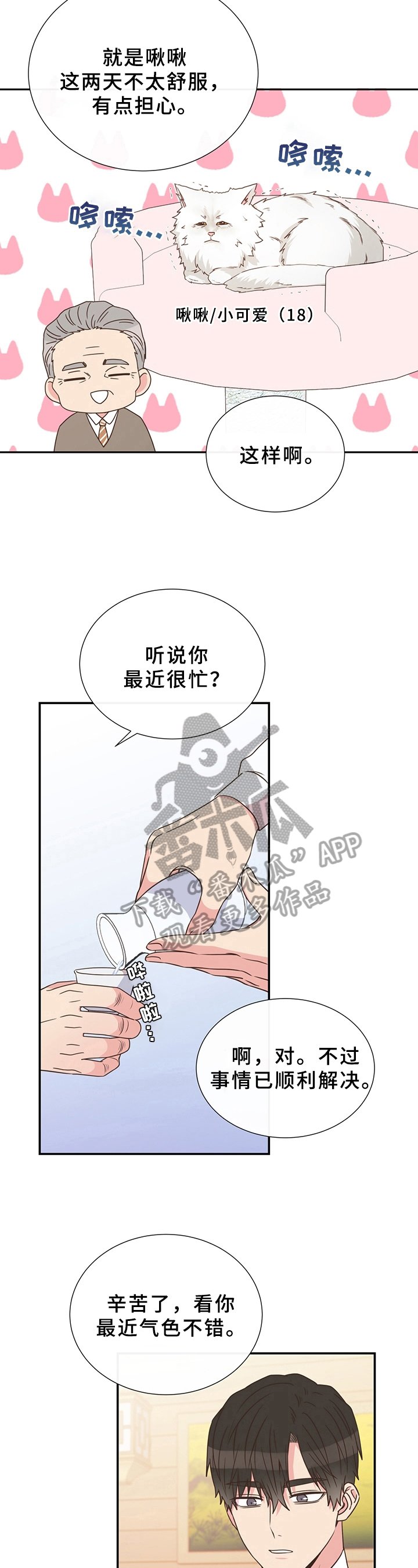 第17章：猜测