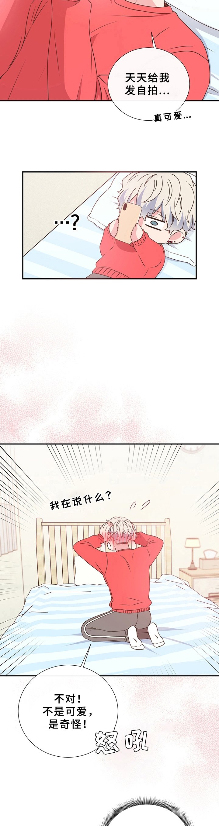 第20章：单纯