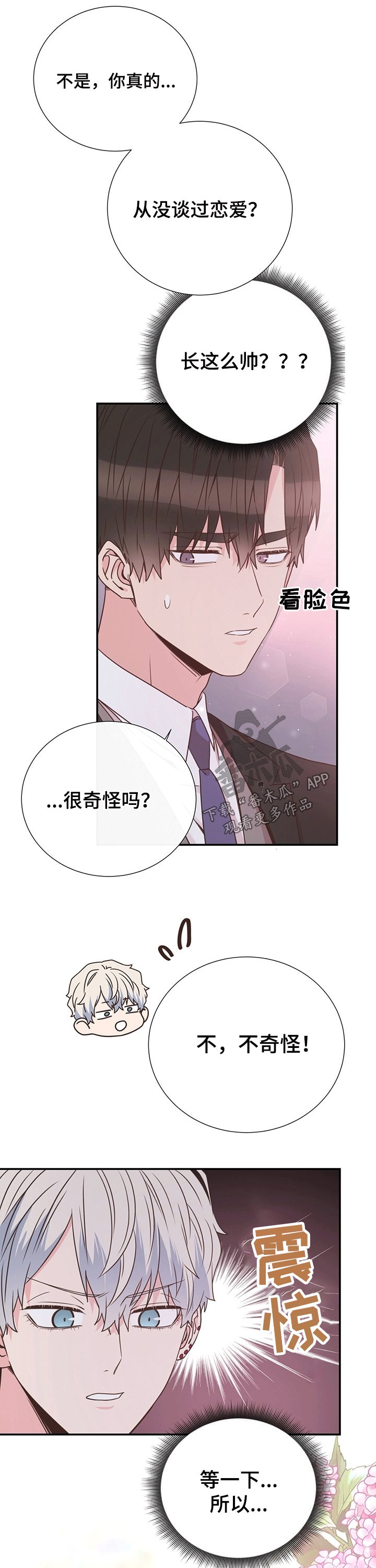 第43章：计划