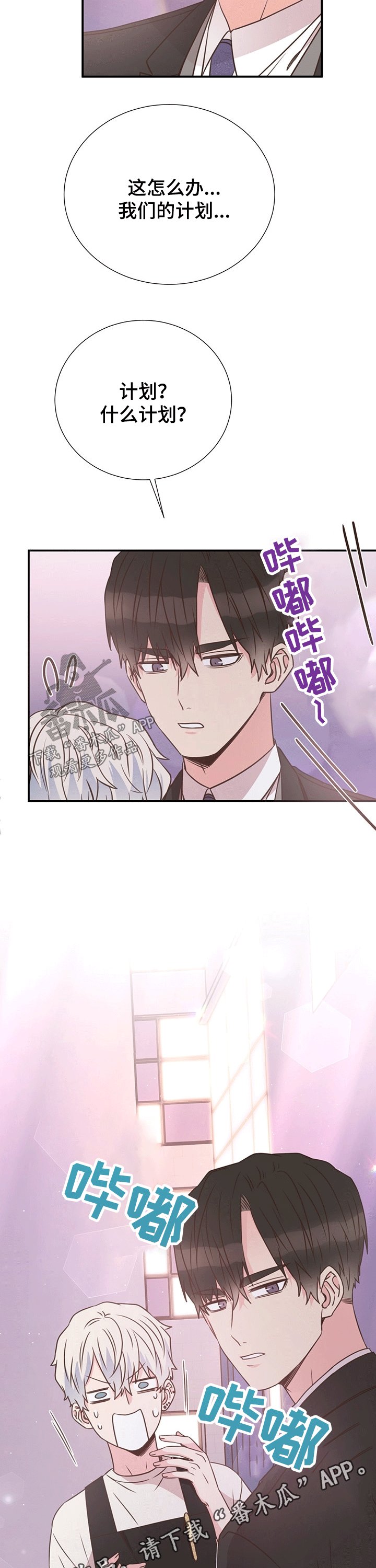第43章：计划