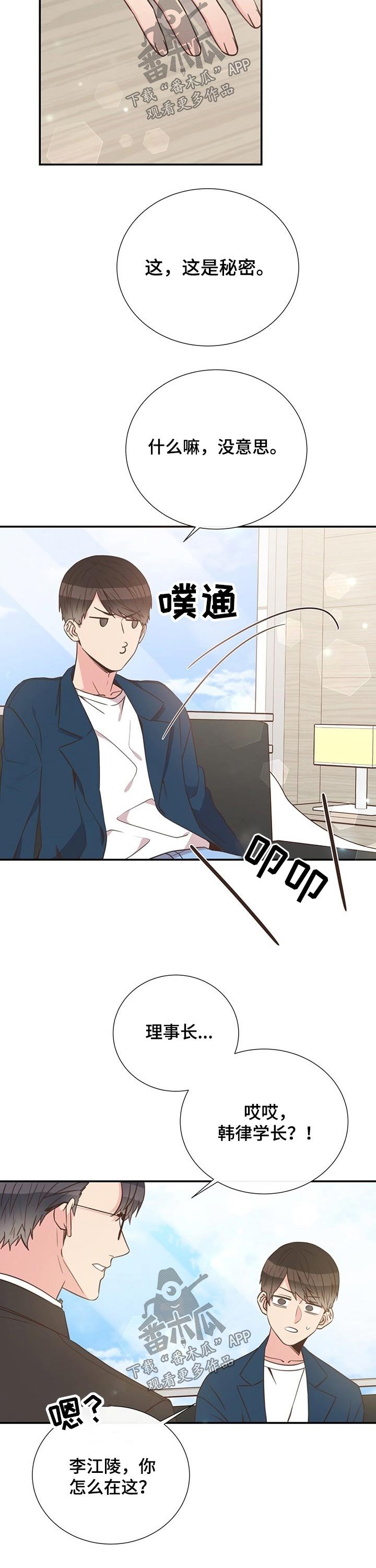 第48章：恋爱
