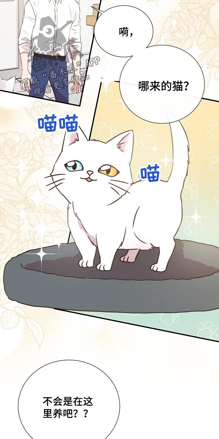 第51章：回国