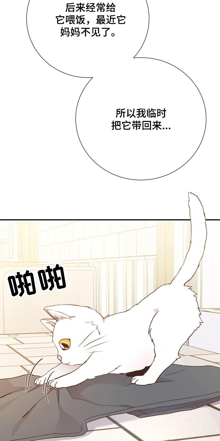 第51章：回国