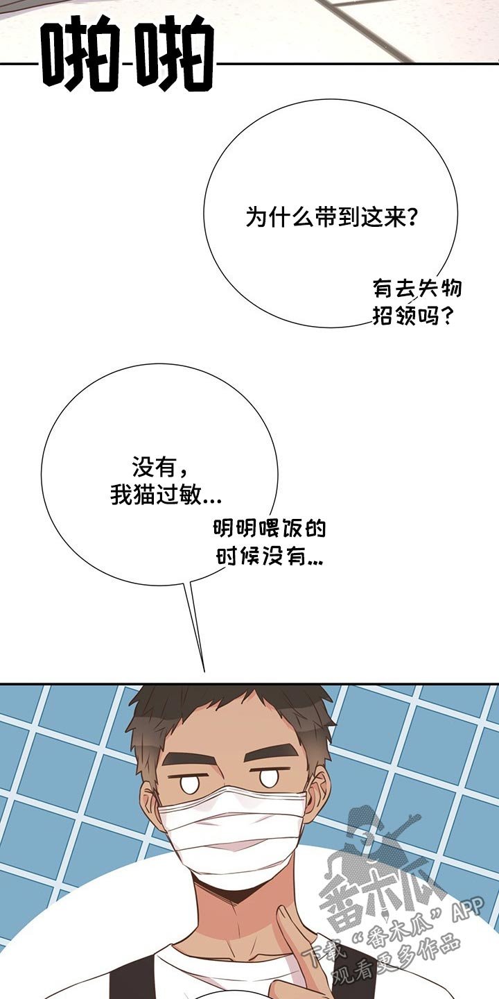 第51章：回国