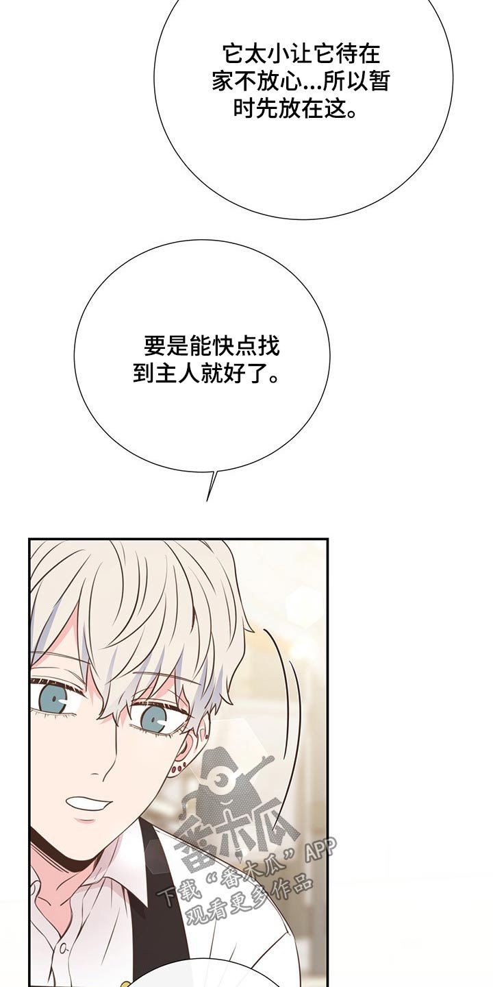 第51章：回国