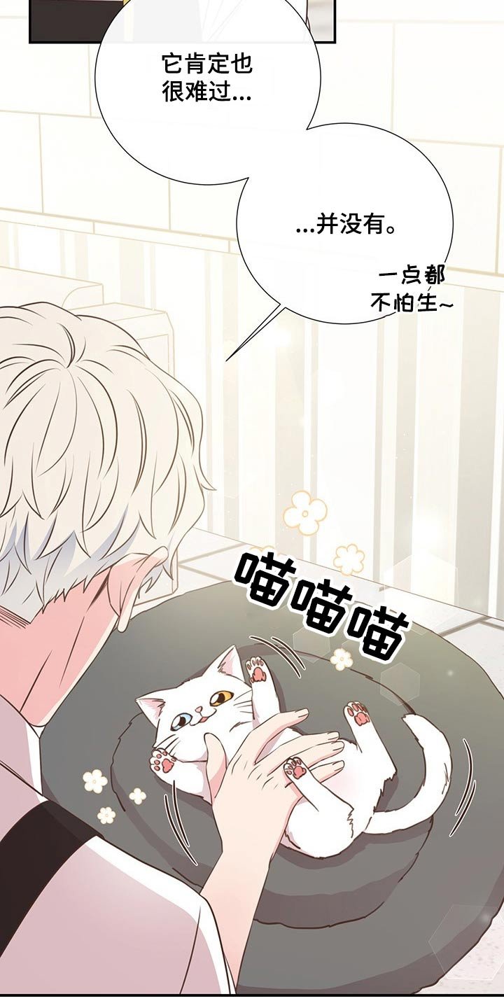 第51章：回国