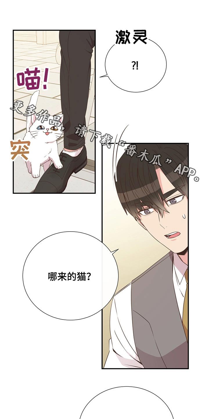 第55章：质问