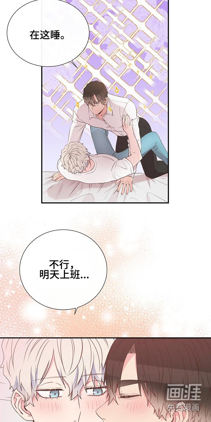 第60章：猫咪