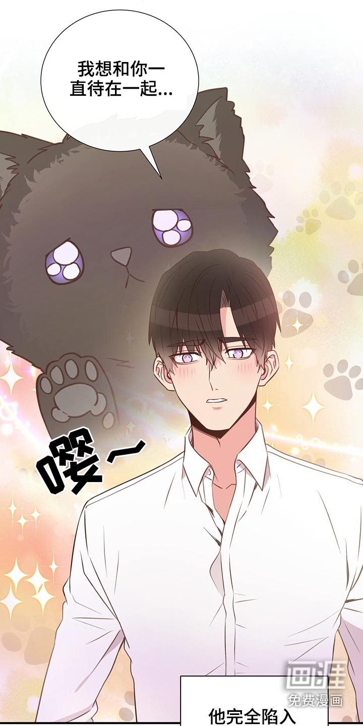 第60章：猫咪
