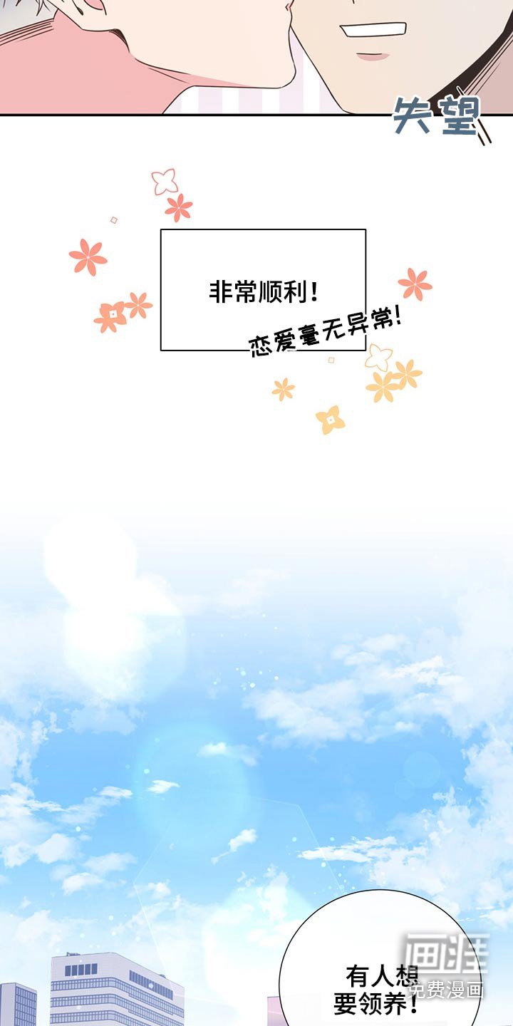第60章：猫咪