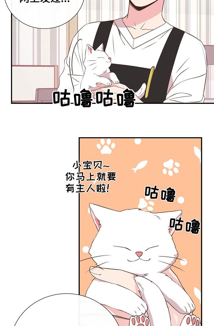 第60章：猫咪
