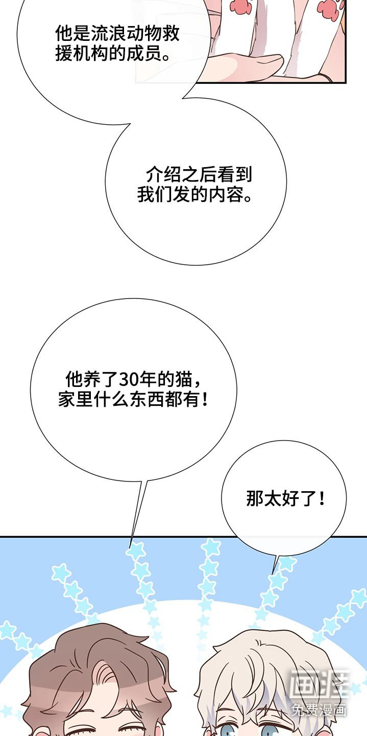第60章：猫咪