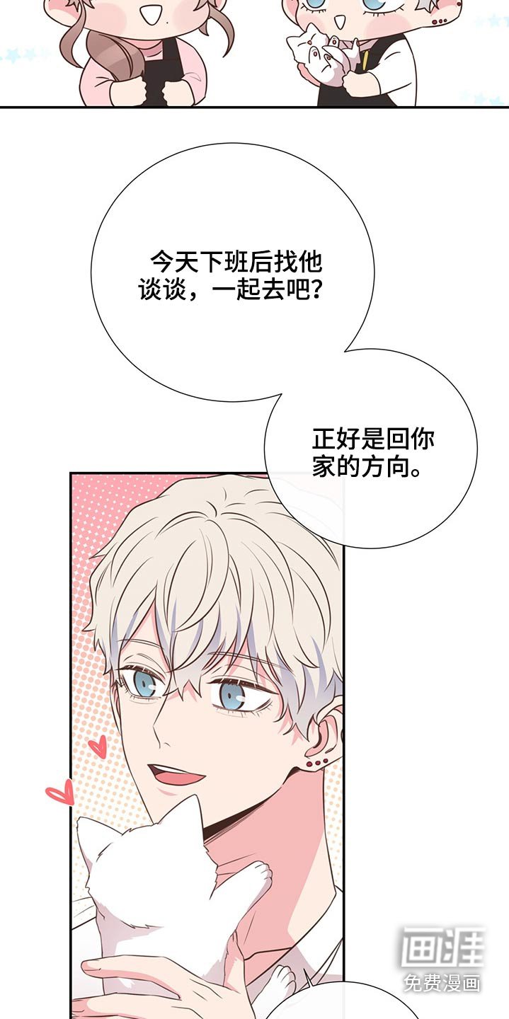 第60章：猫咪