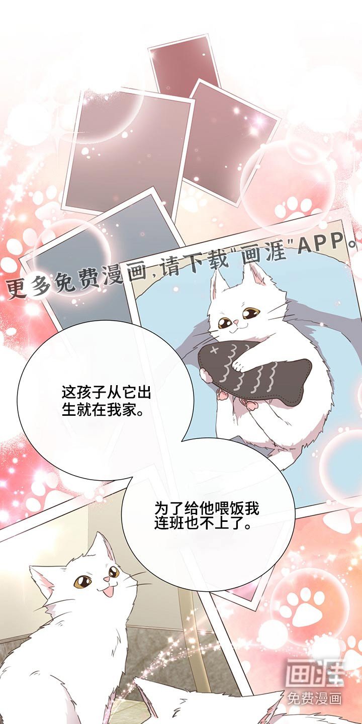 第62章：不是我的问题