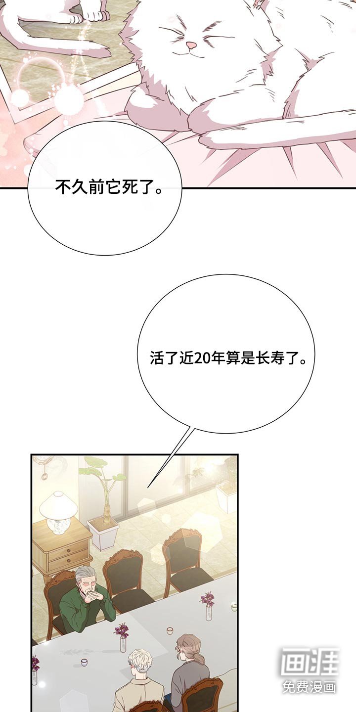 第62章：不是我的问题