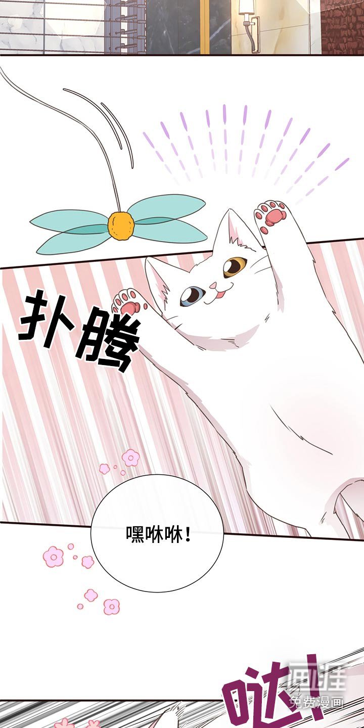第64章：不想去