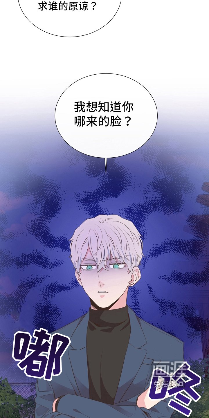第95章：道歉