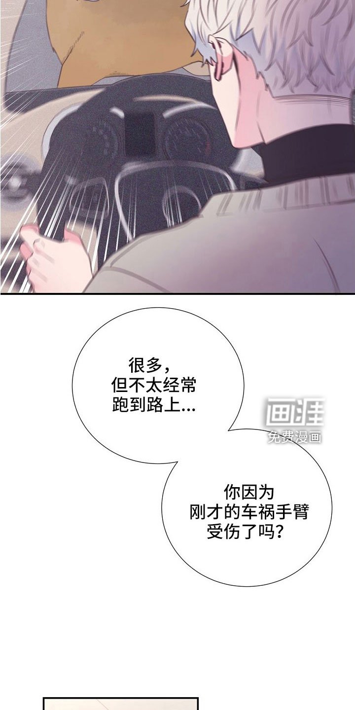 第97章：出事别恨我