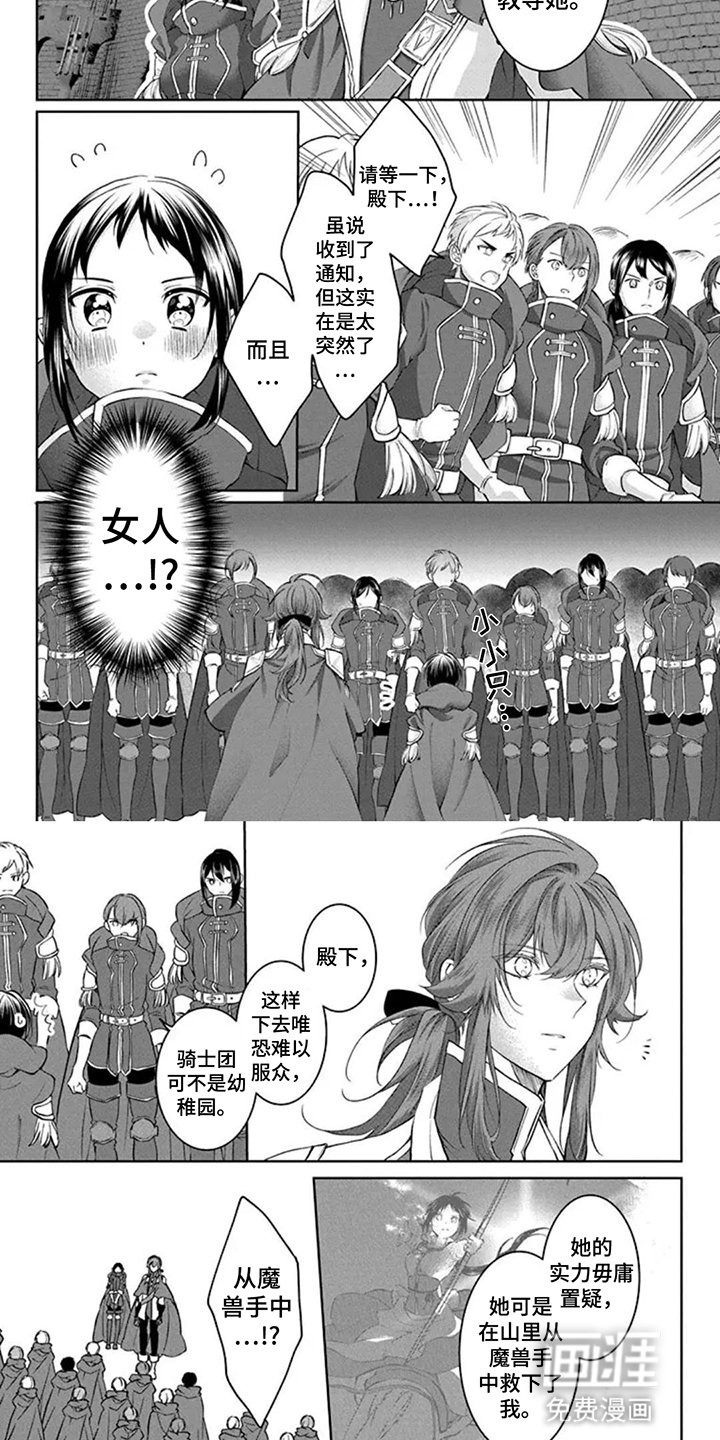 第11章：入团考试