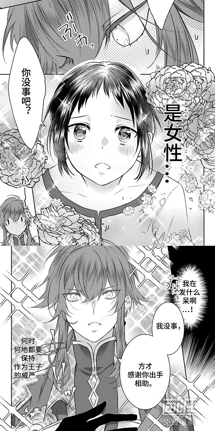 第3章：初见