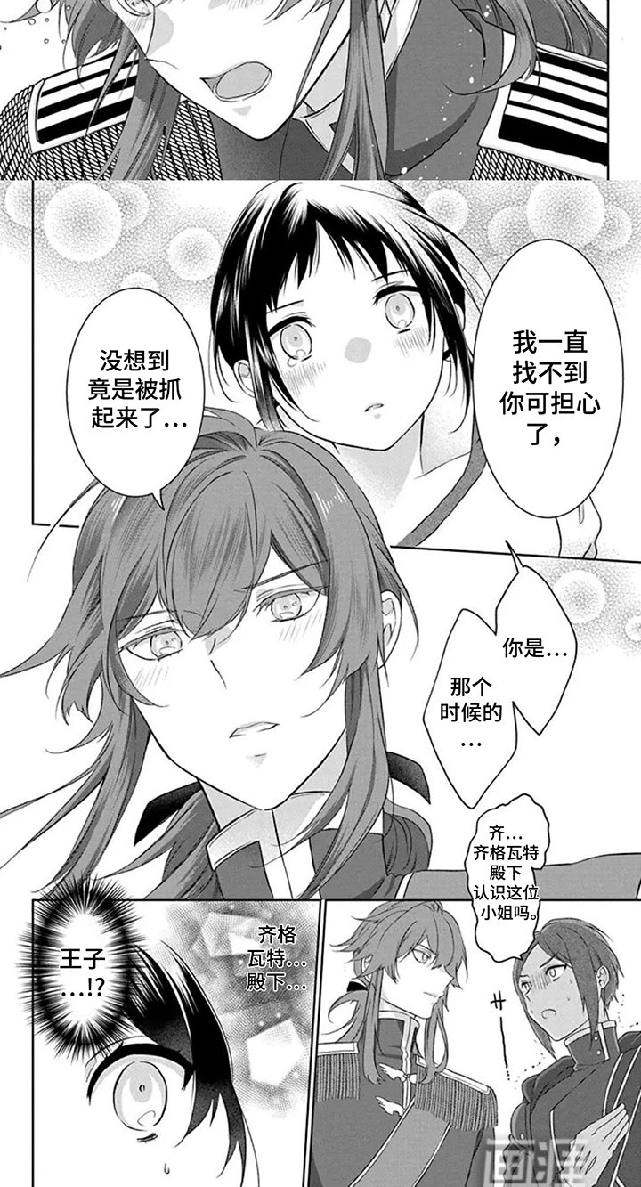 第7章：王子