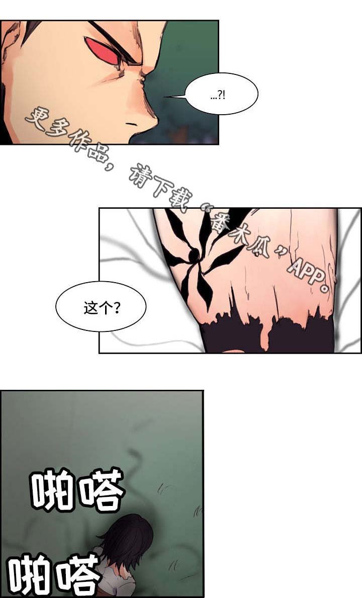 第16章：麝香花