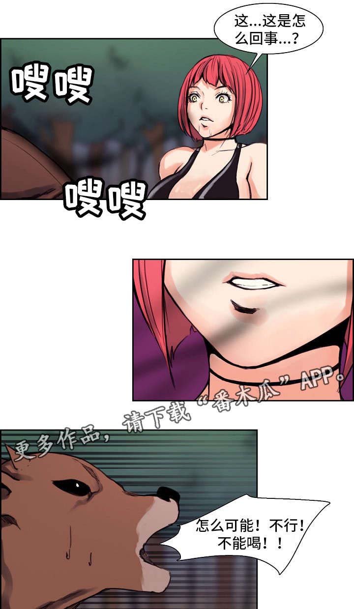 第16章：麝香花