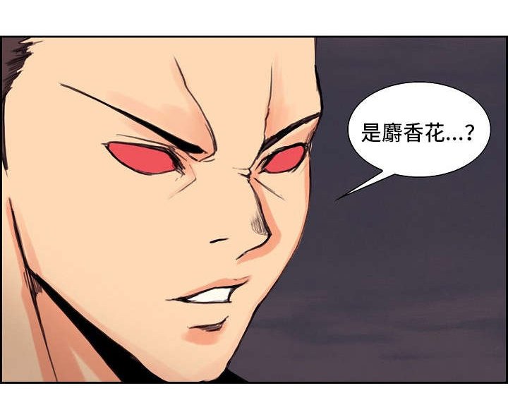 第16章：麝香花