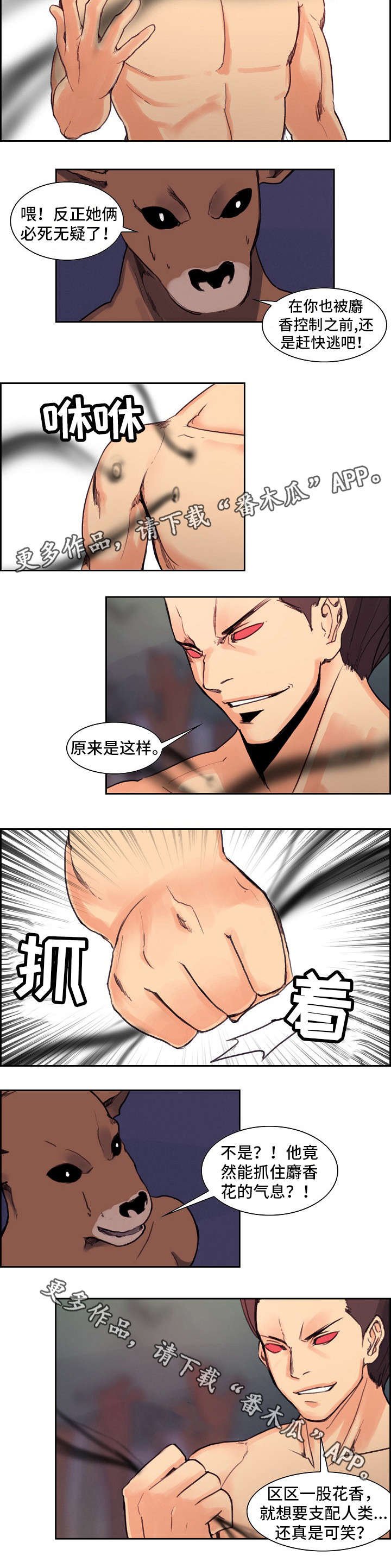 第16章：麝香花