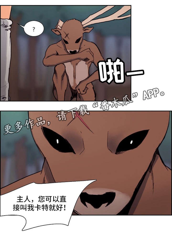 第18章：新的伙伴