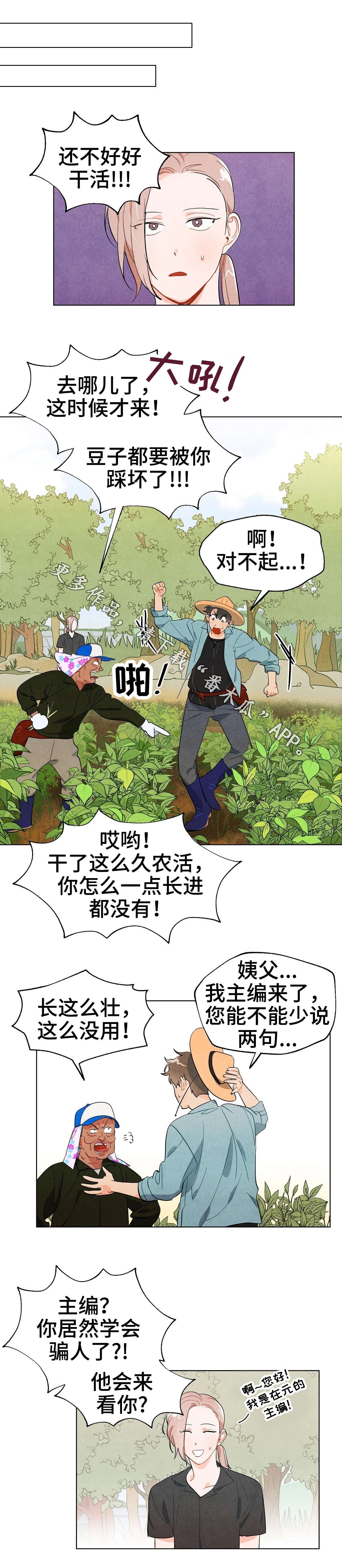 第13章：期待